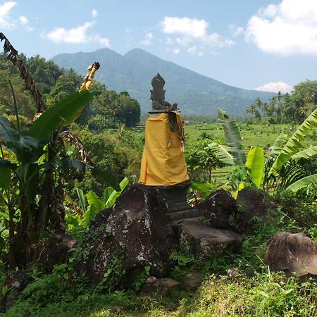 Alamku Bungalow Karangasem  Luaran gambar