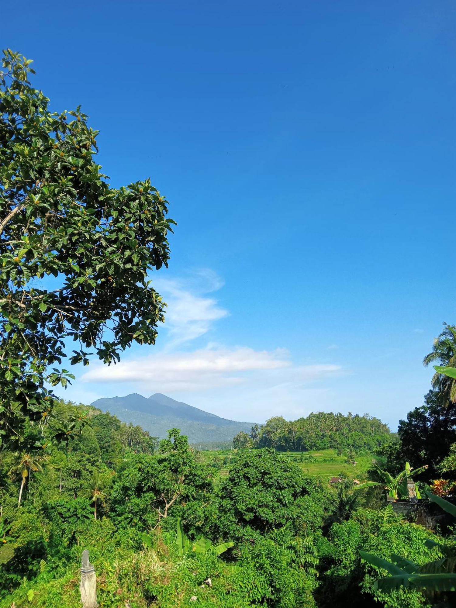 Alamku Bungalow Karangasem  Luaran gambar