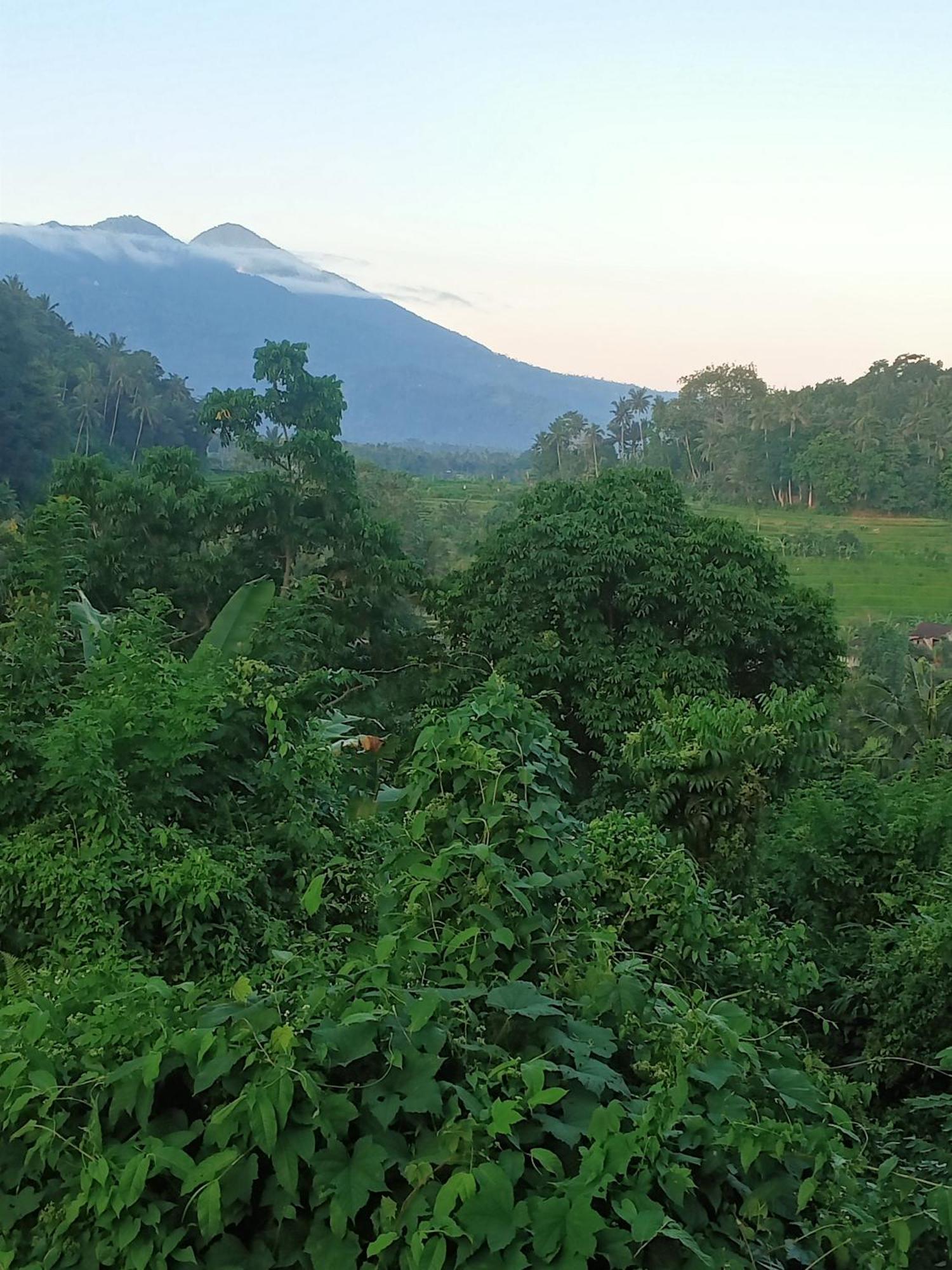 Alamku Bungalow Karangasem  Luaran gambar