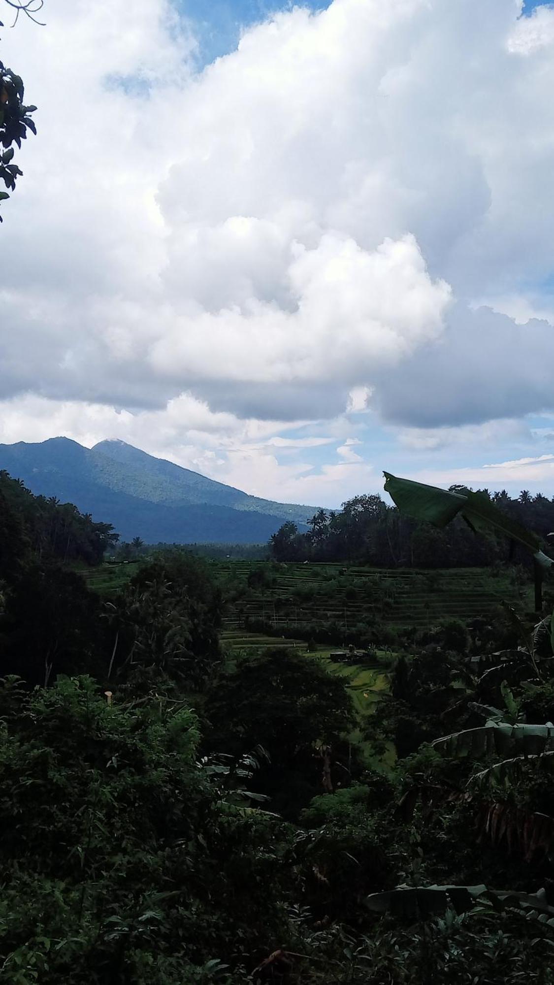 Alamku Bungalow Karangasem  Luaran gambar