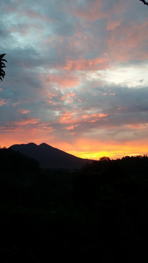 Alamku Bungalow Karangasem  Luaran gambar